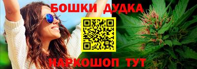 дживик Новозыбков