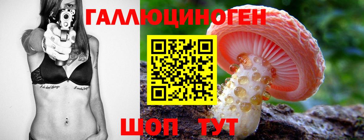 Биробиджан  Псилоцибиновые грибы мицелий  Вход с VPN  Галлюциногенные грибы Psilocybe 