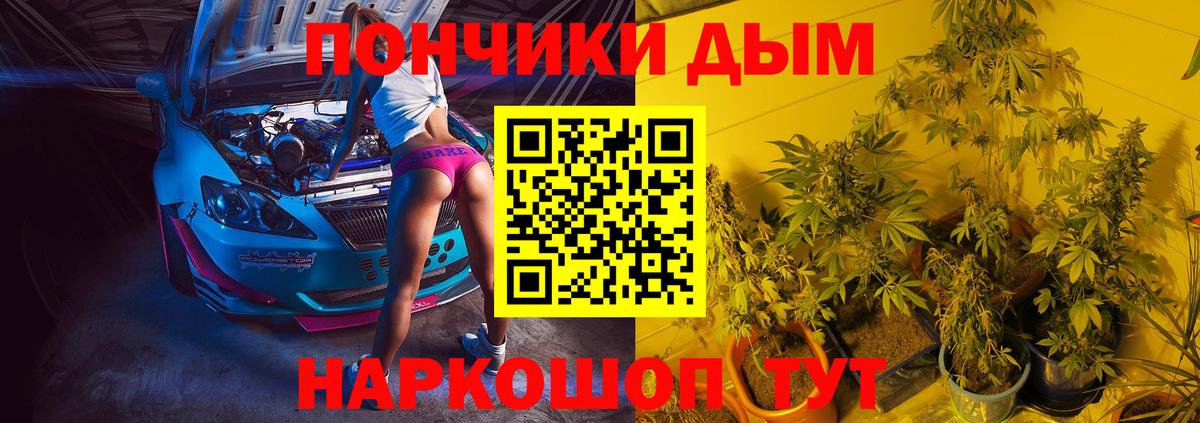 Бошки марихуана марихуана  Вход с VPN  Бошки Шишки Amnesia  Биробиджан  Шишки марихуана конопля  Каннабис план 